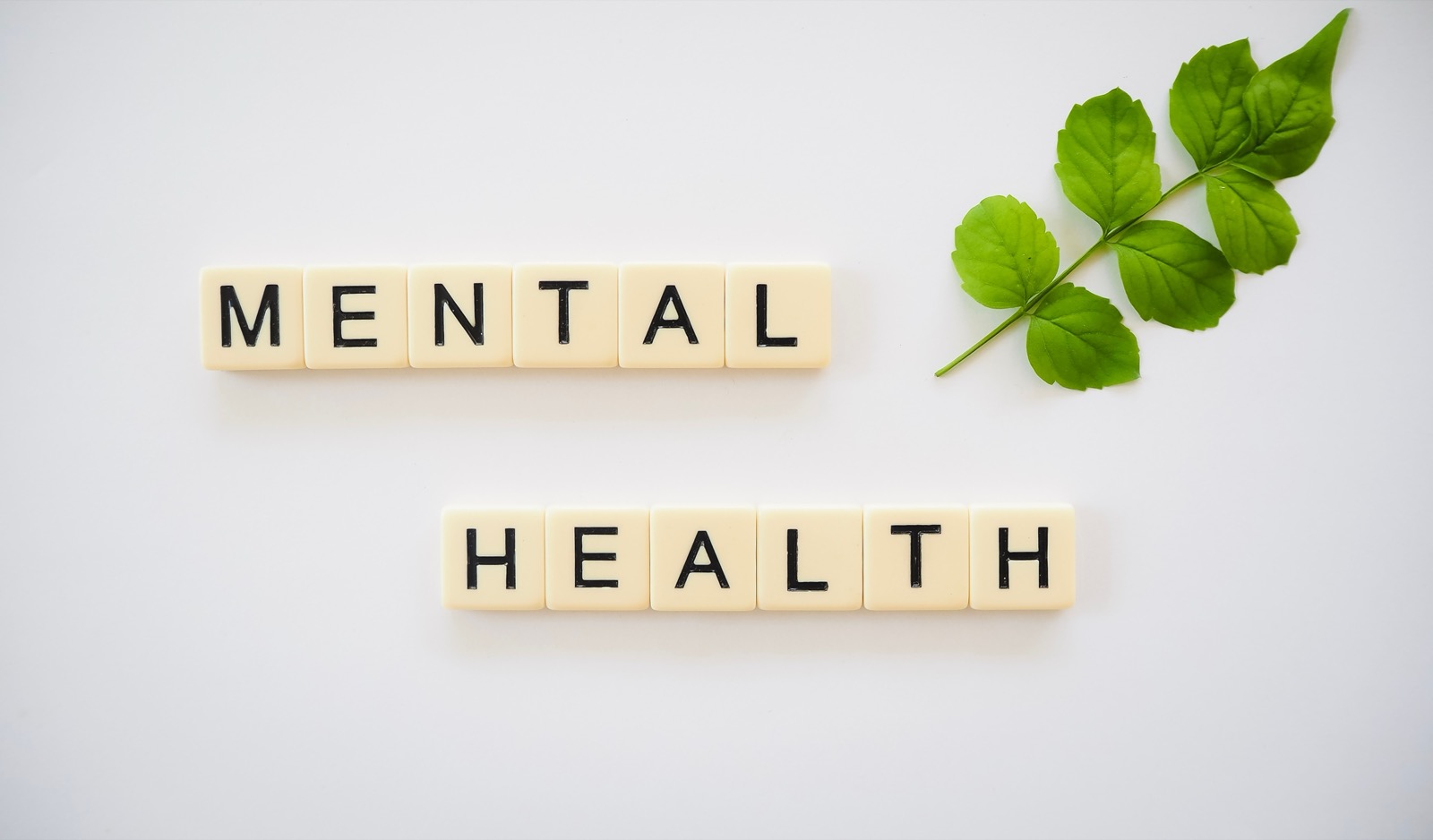 Letter tiles spelling Mental Health beside a green leafy branch.